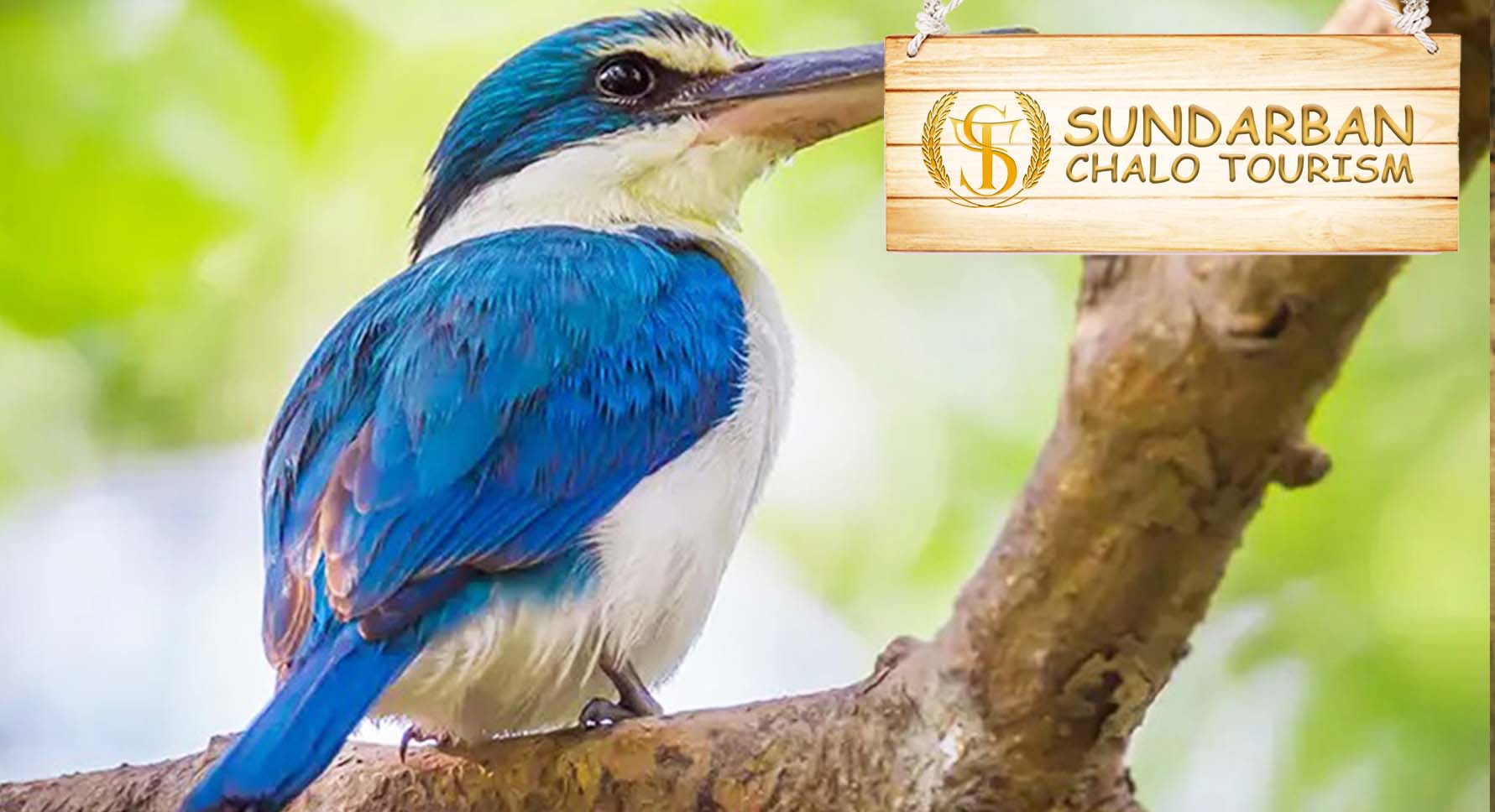 THE 10 CLOSEST Hotels to Sundarban Chalo - Unique Jungle Tour